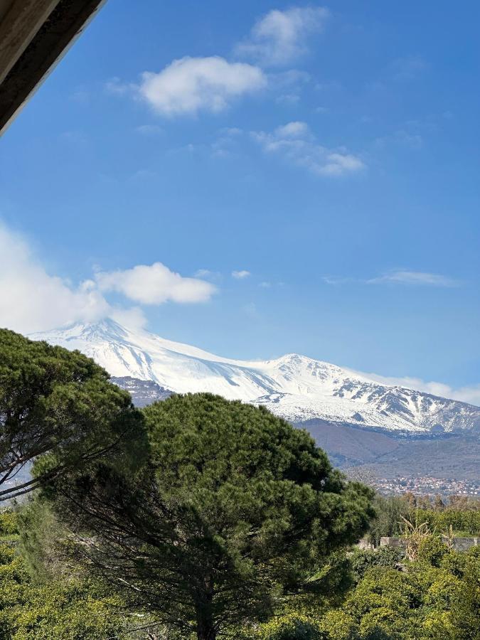 La Pigna Delle Aci Apartment Acireale Kültér fotó